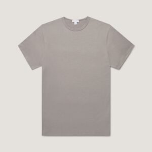 Men's Classic T-shirt in Iron Grey